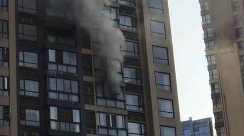 王庄最新爆料消息今天封城了,紧急封城，最新动态揭秘  第1张